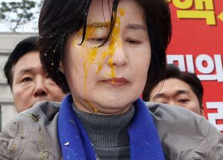 “尹 탄핵해라” 백혜련 등에게 계란 투척한 두 남성 결국
