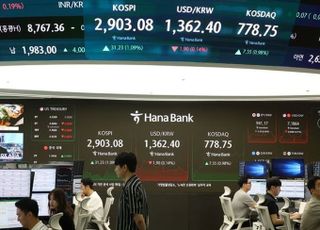 [시황] 코스피, 2900선 천장 뚫었다…엿새째 허니문 랠리