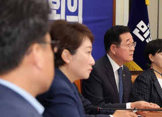 민주당, 당대표 선거 '결선투표제' 도입 의결한다