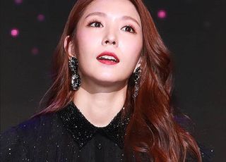 경찰, 가수 보아 모욕 낙서 테러한 30대 여성 검거