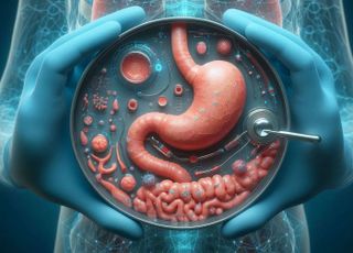"실험쥐 대신 미니 장기"…FDA·빅파마도 빠진 오가노이드