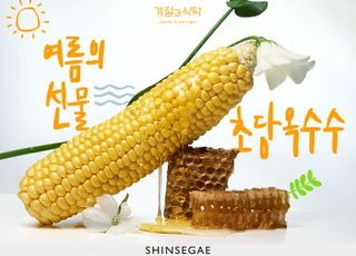 신세계백화점, 제철 초당 옥수수의 모든 것 소개