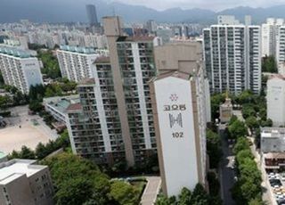 요동치는 서울 집 값…토허제 확대 등 추가 규제 초읽기