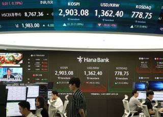 새 정부 허니문 랠리 속 ‘신고가 속출’…5종목 중 1개꼴