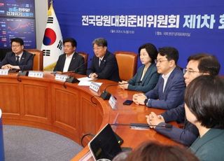 민주당 차기 당대표 8월 2일 선출…순회경선, 내달 19일 충청서 시작