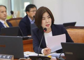 김미애, 외국인 부동산 투기 차단 법안 발의…"'주거 안정' 지키는 최소한의 장치"