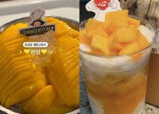 "이 가격 실화?" 성심당, 딸기 시루 이어 '갓성비' 망고 빙수 출시