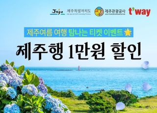 티웨이항공, 제주행 왕복 항공권 '1만원 할인 쿠폰' 선착순 제공