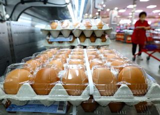 계란값, 2021년 이후 첫 7000원 돌파…정부 “9월 가격 안정 전망”