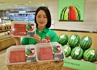 롯데백화점, '수박 도시락' 출시