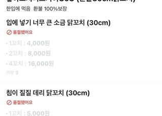 닭꼬치 먹는데 웬 성(性)적인 표현? '19금 메뉴판' 논란