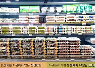 이랜드킴스클럽, 계란 한 판 6990원 판매