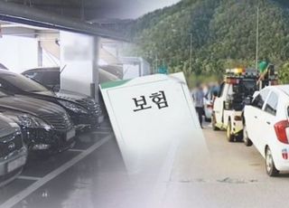 올해 자동차 보험 손해율 83%…여름 휴가철 악화 예상