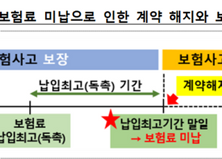 "카톡 독촉에도 보험료 안냈다면, 보험 해지 정당"…금감원, 1분기 분쟁사례 공개