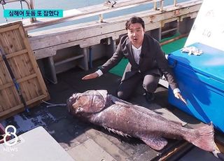 '일본 7월 대지진 예언 징조인가' 전설의 심해어 또 잡혔다…'돗돔' 어떤 물고기?