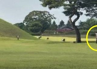 외국인 놀라게 한 무개념 男, 왕릉서 골프연습...경주시 반응은?