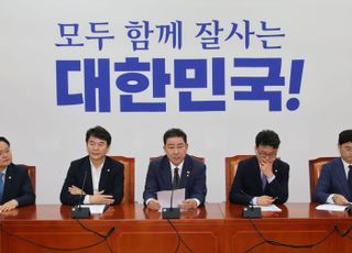 민주당 "李대통령 대북송금 사건, 검찰 억지 수사…내일 TF 발족"