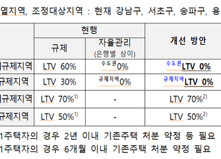 [가계부채 긴급점검] 2주택자 수도권·규제지역 주담대 전면 금지