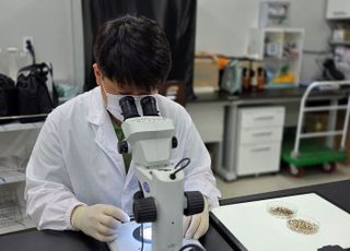 경기도, 일본뇌염 매개모기 ‘작은빨간집모기’ 올해 첫 발견