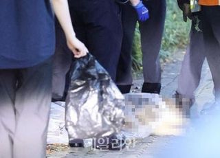 '퇴근길 위협' 상계동 아파트 단지서 출몰한 멧돼지 결국 사살