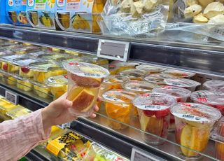 롯데마트∙슈퍼, 자체 기술 '프레쉬 L' 개발…조각 과일 품질 혁신