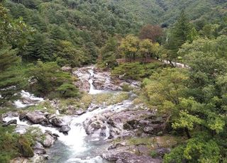 경기도 연인산도립공원, 여름철 물놀이 안전사고 제로화 대책 추진