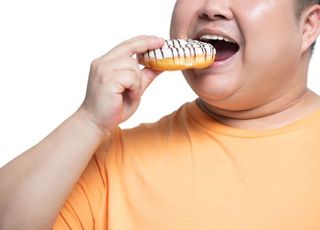 위고비·젭바운드 '빈틈' 노린다…메타비아, 안전성 앞세워 비만약 시장 '출사표'