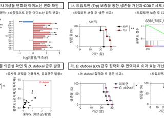 KAIST, 장내 미생물로 뇌종양 면역치료 효과 높이는 원리 규명