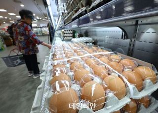 6월 소비자물가 2.2%↑…먹거리 물가 ‘들썩’(종합)