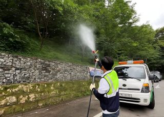 안산시, '러브버그' 확산 대비… 친환경 방제·예방 홍보 나서