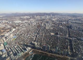 대출 막히고 실거주 의무까지…경매시장도 규제로 ‘찬물’