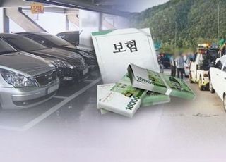 캐피탈사의 자동차보험 판매 허용, 국민 경제 효익·소비자 편익 제고에 기여