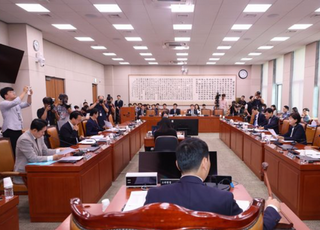 상법개정안, 오늘 본회의 무난히 통과할 듯…공포 후 즉시 시행