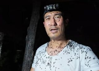 '계양산 러브버그 시선 불편했나'…인천 계양구청장 심경 토로 "참을 줄도 알아야"