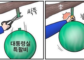 [D-시사만평] 尹정부땐 삭감하더니… 민주당, '대통령실 특활비' 증액' 요구 요구가 웬 말?