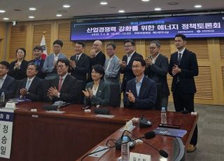 “실용적 에너지 전략 절실”...산업계·정치권 한목소리