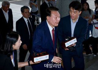 민주당 "내란 특검, 尹 구속해야…법치 농락 자유 줘선 안 돼"