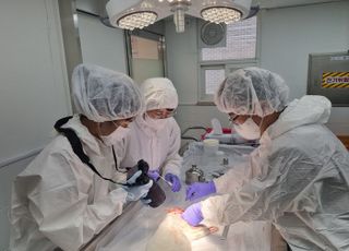 경기도 동물위생시험소, 이달부터 ‘수의법의검사’
