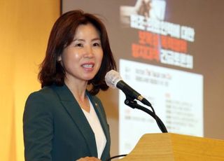 김미애, 'K컬처 3법' 발의…"도심융합특구를 K-콘텐츠 산업거점으로"