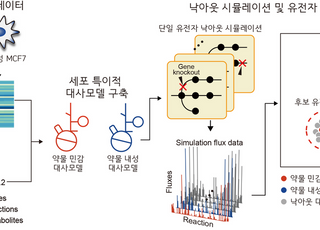 KAIST, 유방암 약물내성 극복할 새 유전자 표적 예측 기술 개발