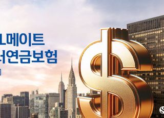 신한라이프, '무)신한SOL메이트달러연금보험' 출시…10년간 확정 금리 지급