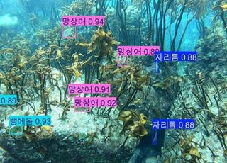 수과원, AI 활용 물속 어류 종류 식별 기술 개발 성공