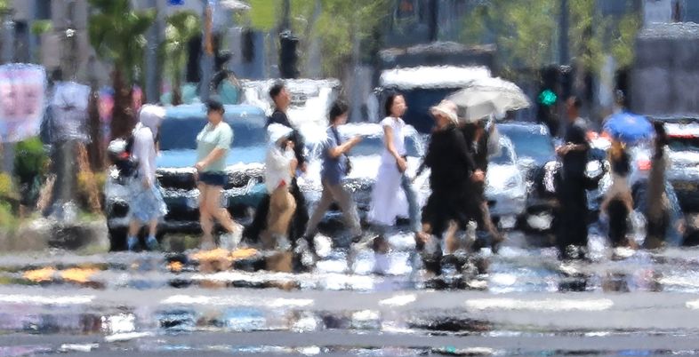 연일 찜통더위…폭염 타고 감염병까지 급증