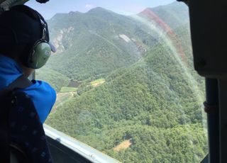 소나무재선충병 방제 완료…산림청, 피해 확산 저지 총력