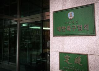 대한축구협회, VAR 판독 결과 장내 방송 본격 도입 추진