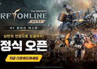 넷마블엔투 직원, 고가 게임 아이템 찍어내 멋대로 팔다가 적발