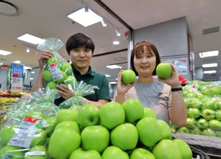 롯데마트·슈퍼, 2025년산 K품종 여름 햇사과 '썸머킹' 판매