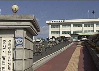 '레고랜드=패륜랜드' 비하한 문화유적 보호 단체…법원, 손해배상 판결