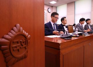 "집중투표·감사 분리선출, 심장 수술 문제"…野·전문가들, 추가 상법 개정 우려