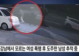 "뒤쫓아와 발로 차" 강남서 女 폭행 후 도주한 남성 추적 중